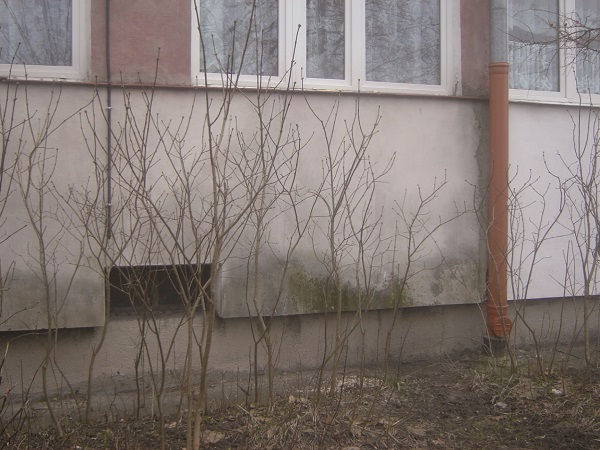 glony, elewacja, docieplanie